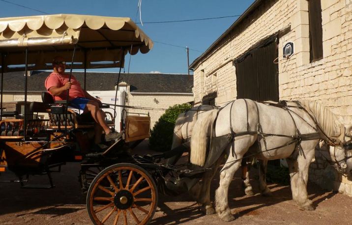 Location de calèche, cocher, mariage en calèche